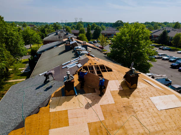 Best Storm Damage Roof Repair  in Brookneal, VA
